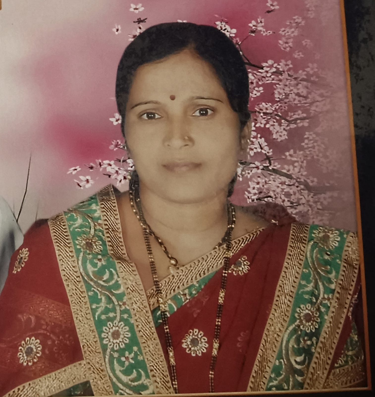 सदस्य